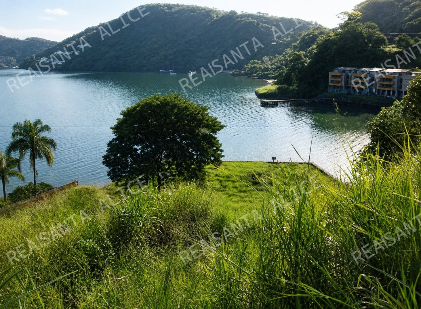 Ponta dos Ubás: oportunidade exclusiva à beira-mar em Angra dos Reis - 10 lotes ja desmembrados