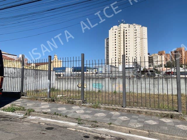 Terreno com potencial construtivo de até 5.986,50 m² na Vila Sônia